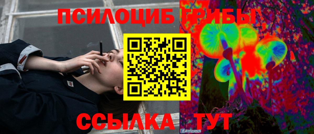 Псилоцибиновые грибы Psilocybine cubensis Арзамас